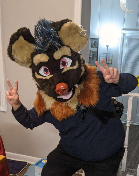 Beau the Hyena
